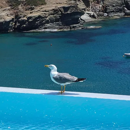 Paradise Place Sifnos Chrisopigi (Sifnos)